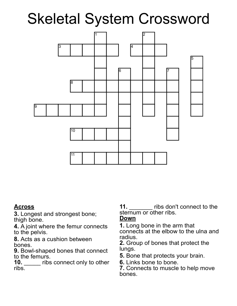 Skeletal System Crossword