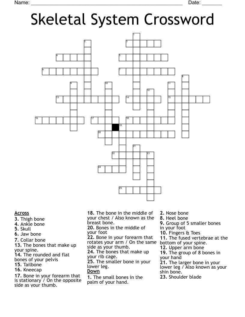 Skeletal System Crossword