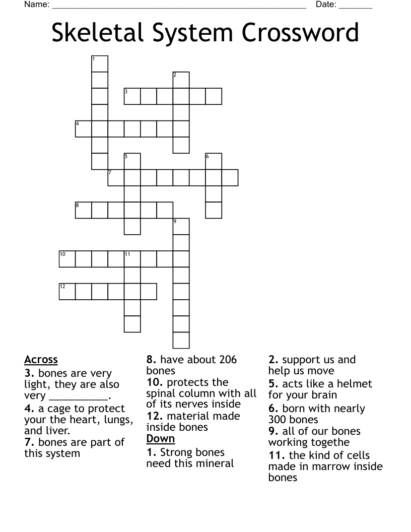 Skeletal System Crossword