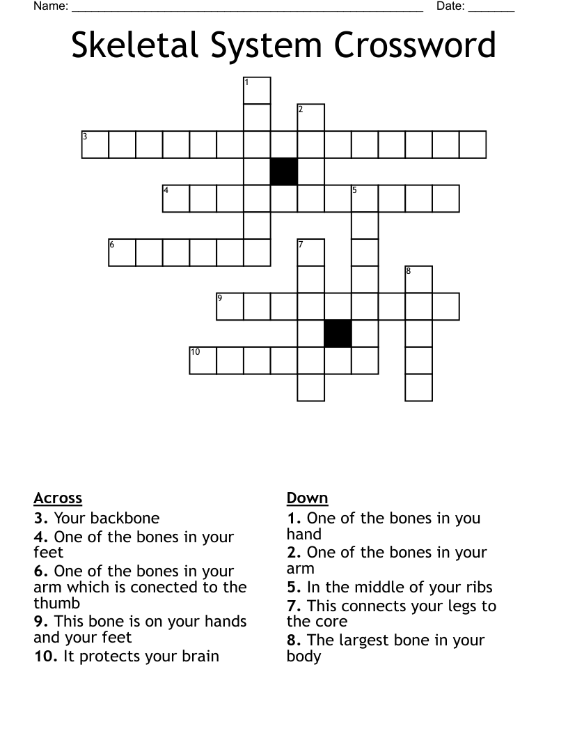 Skeletal System Crossword