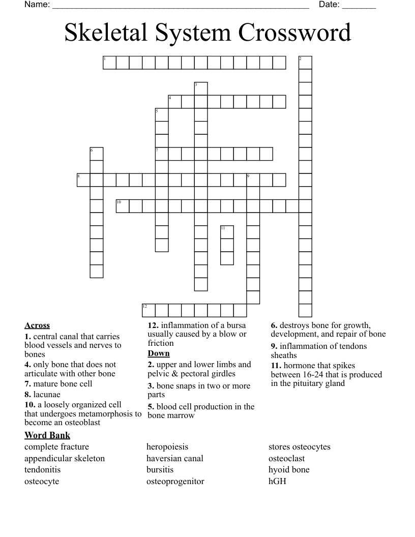 Skeletal System Crossword