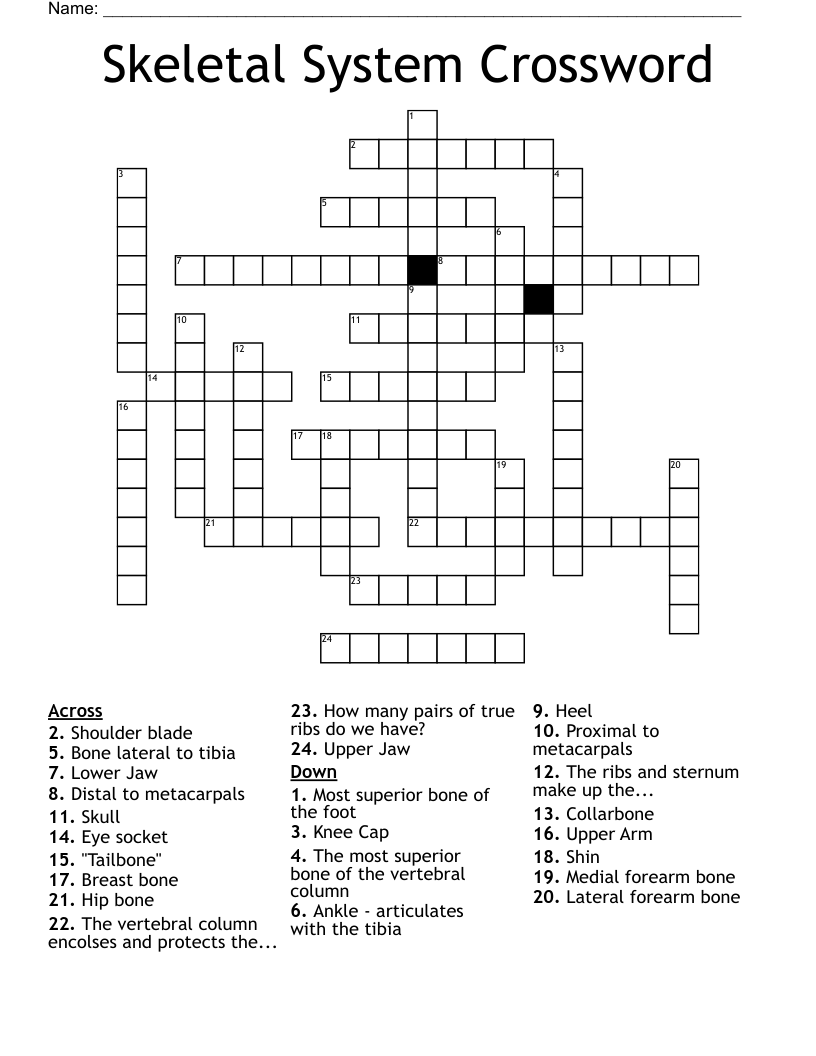Skeletal System Crossword