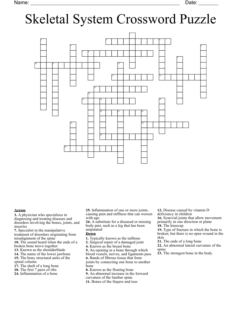 Skeletal System Crossword Puzzle