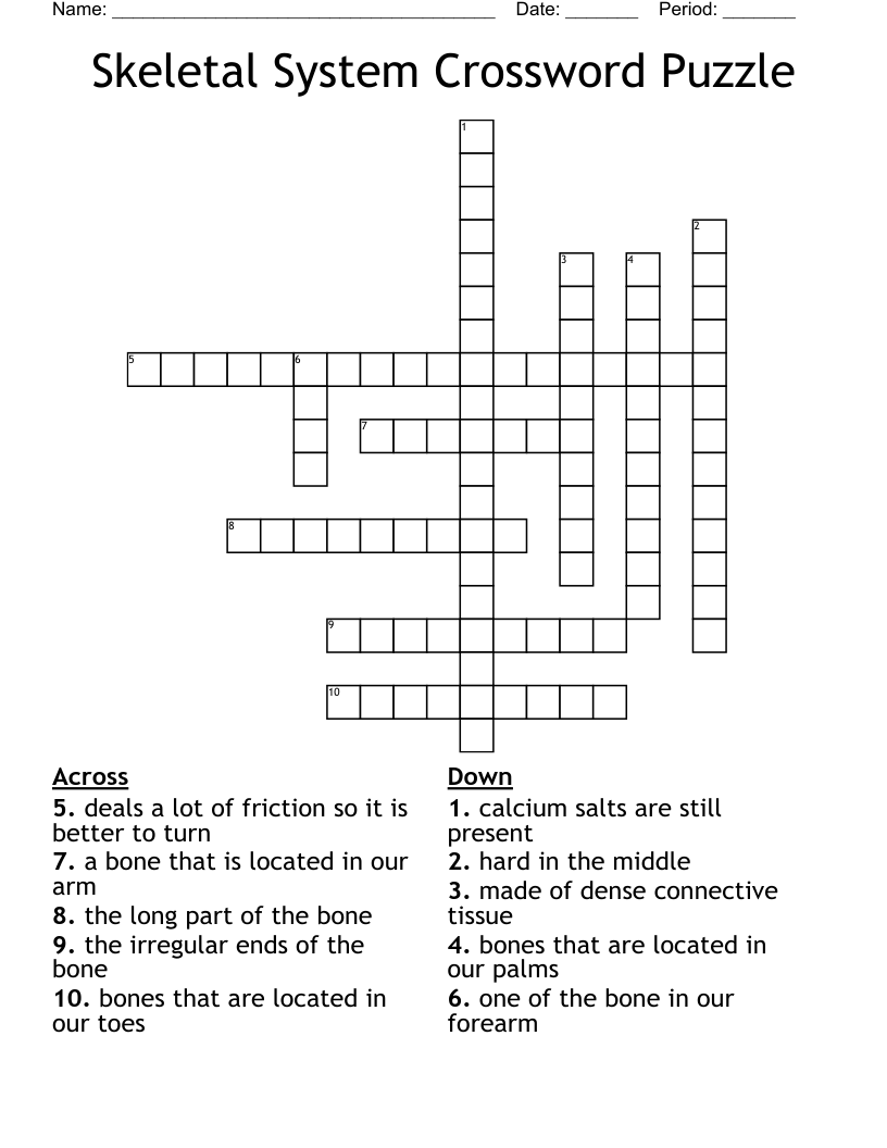 Skeletal System Crossword Puzzle