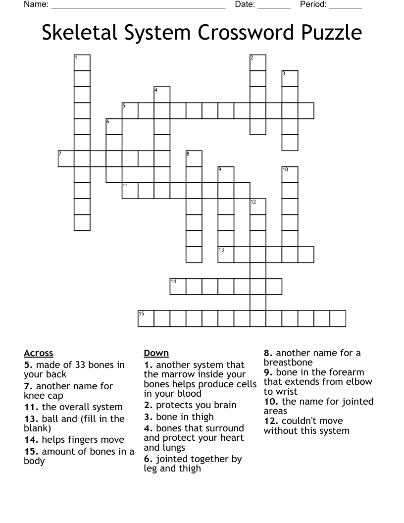 Skeletal System Crossword Puzzle