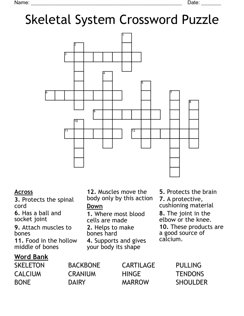 Skeletal System Crossword Puzzle
