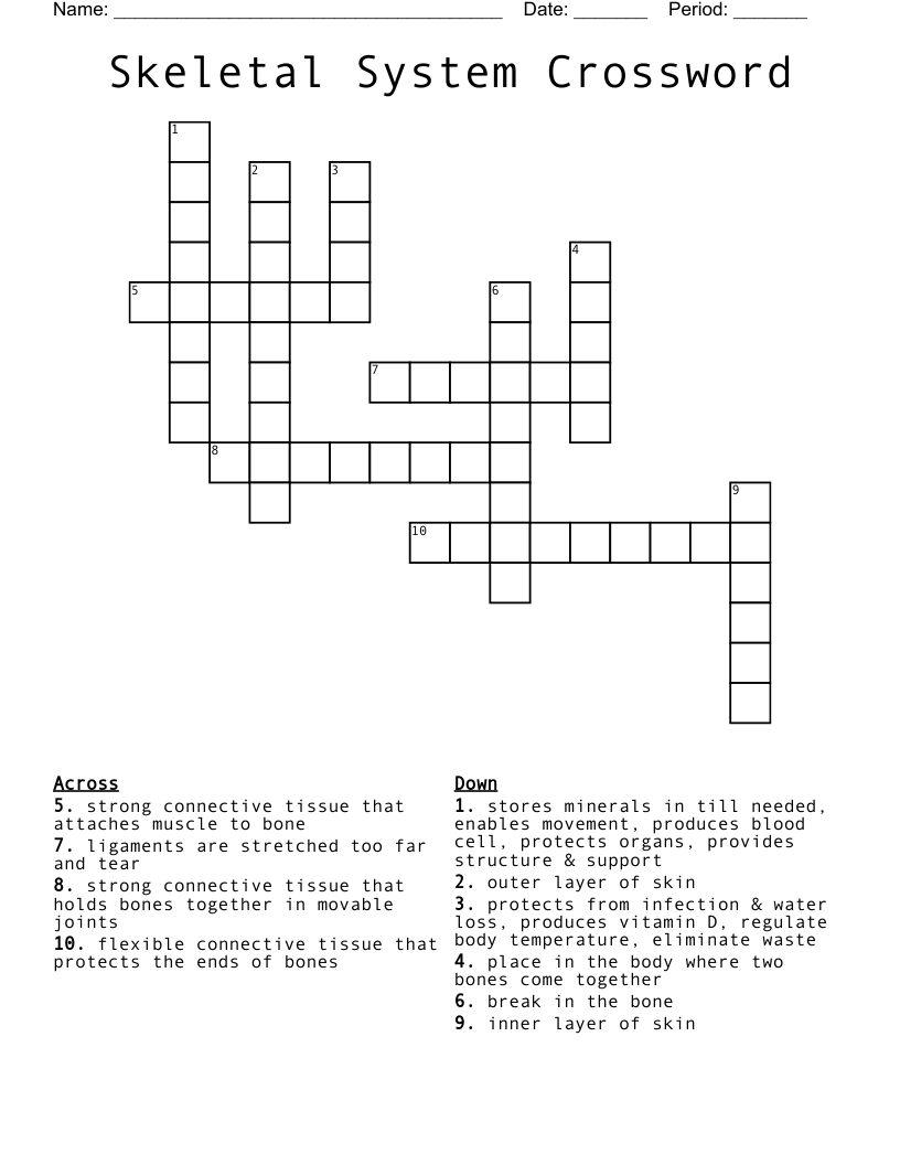 Skeletal System Crossword 