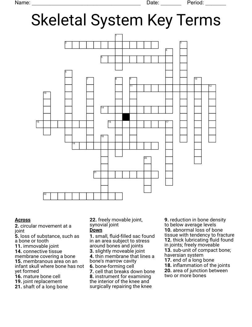 Skeletal System Key Terms Crossword