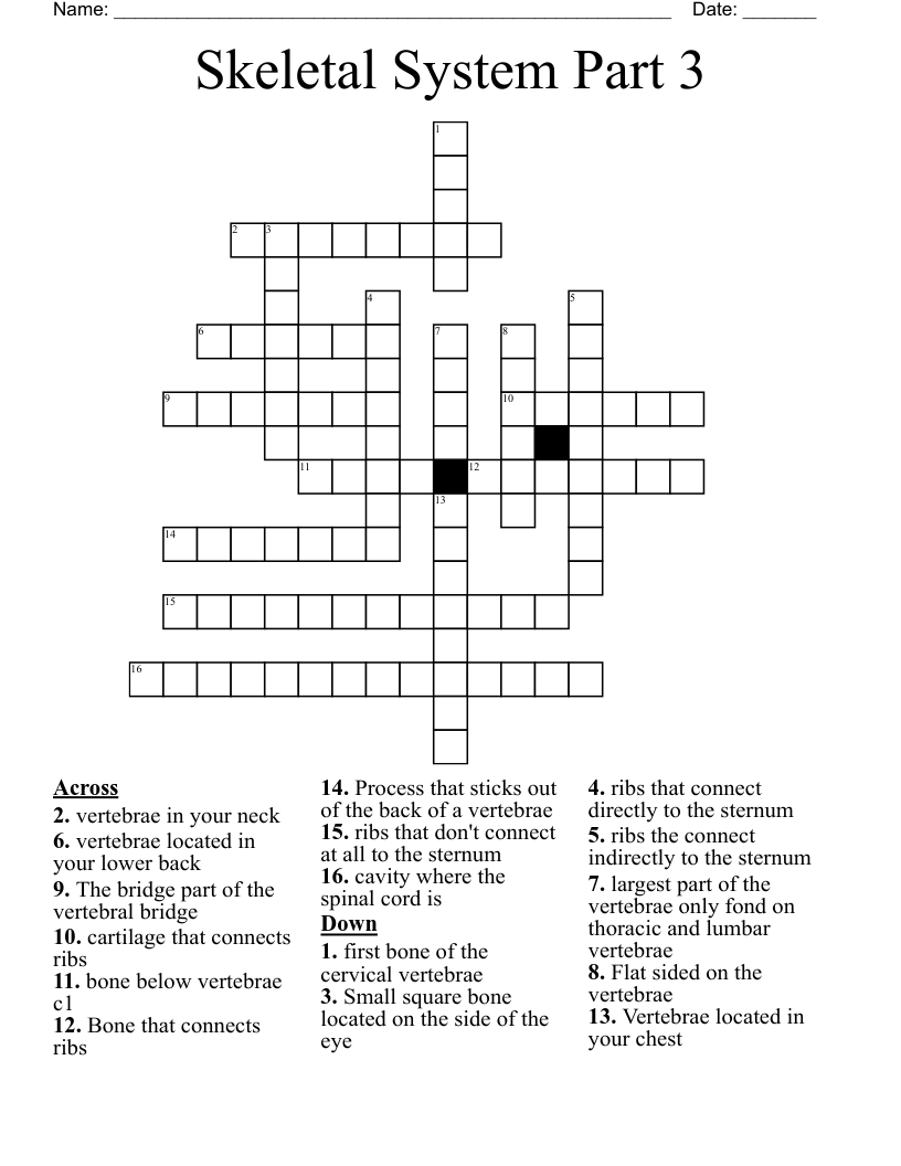 Skeletal System Part 3 Crossword