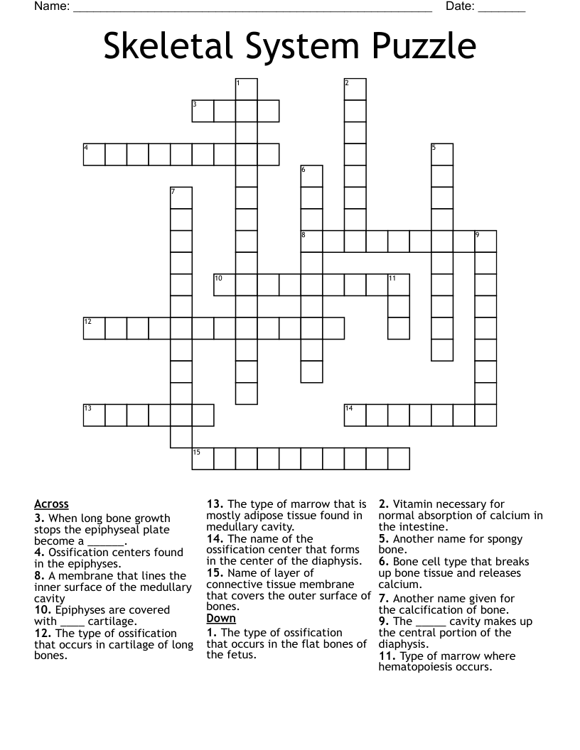 Skeletal System Puzzle Crossword
