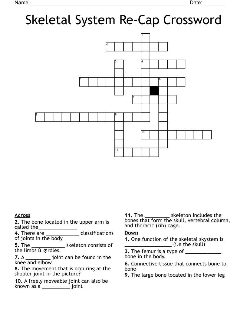 Skeletal System Re-Cap Crossword
