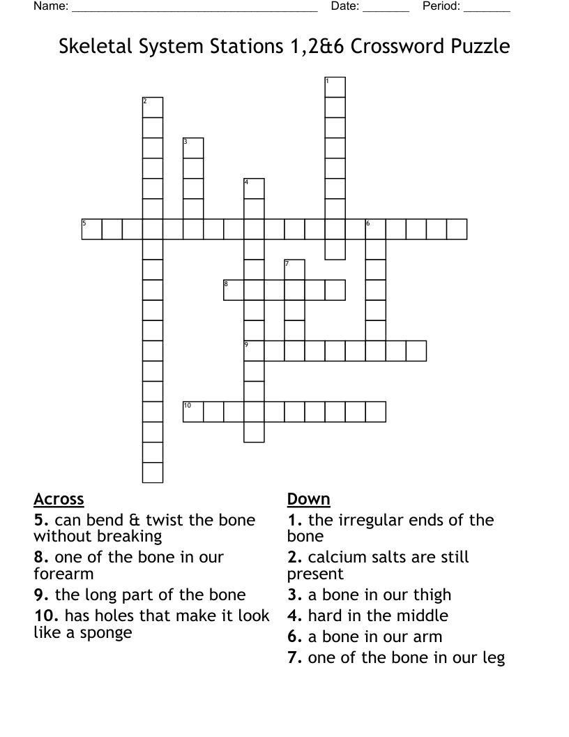 Skeletal System Stations 1,2&6 Crossword Puzzle