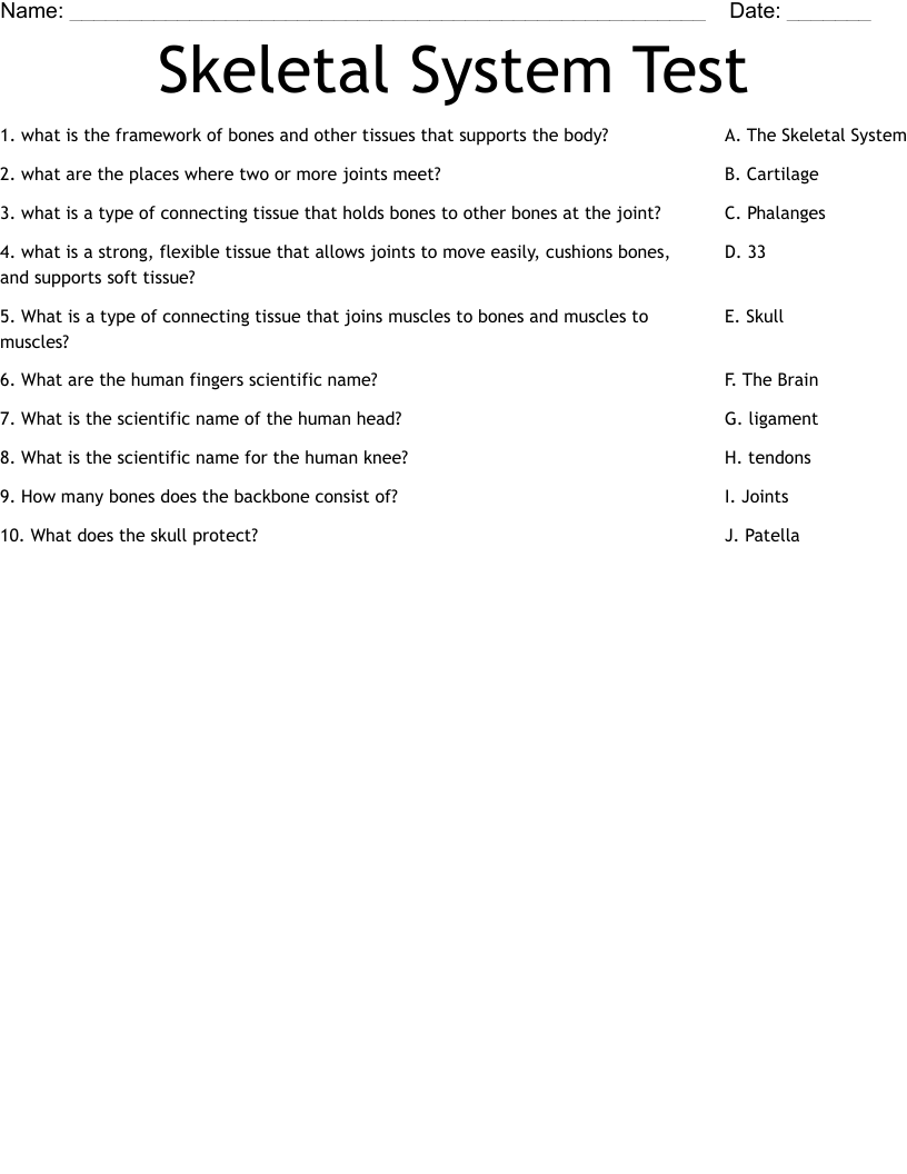 Skeletal System Test Worksheet