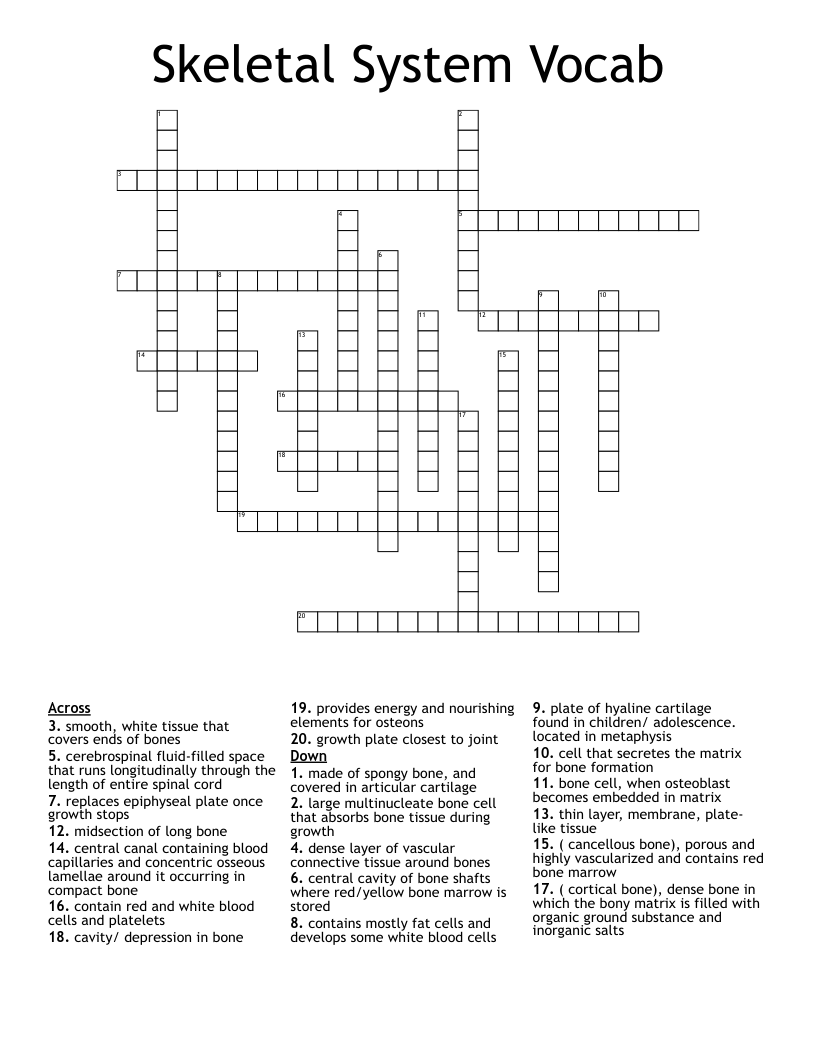 Skeletal System Vocab Crossword