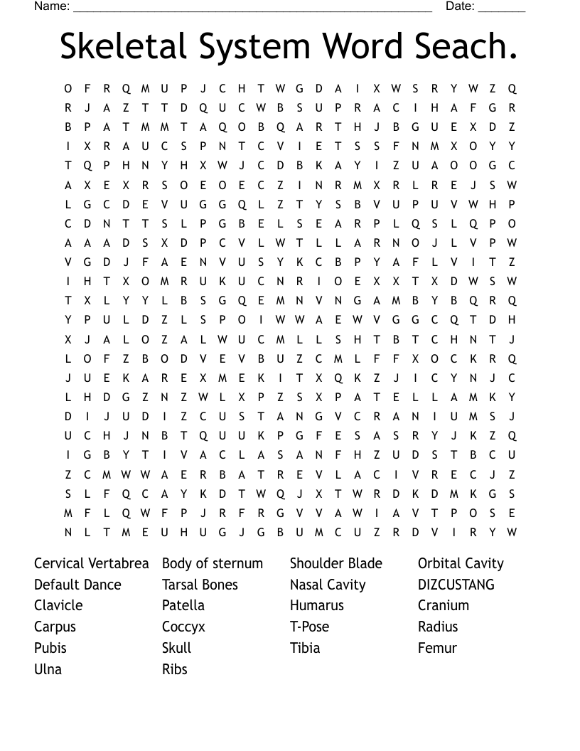 Skeletal System Word Seach. Word Search