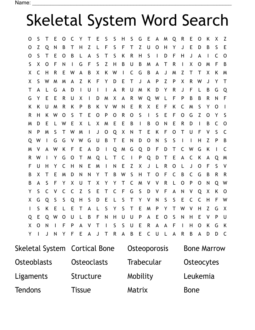 Skeletal System Word Search