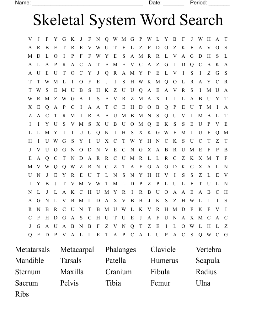 Skeletal System Word Search