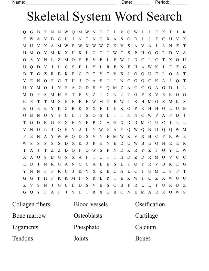 Skeletal System Word Search