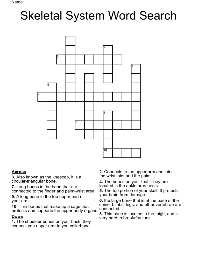 Skeletal System Word Search Crossword