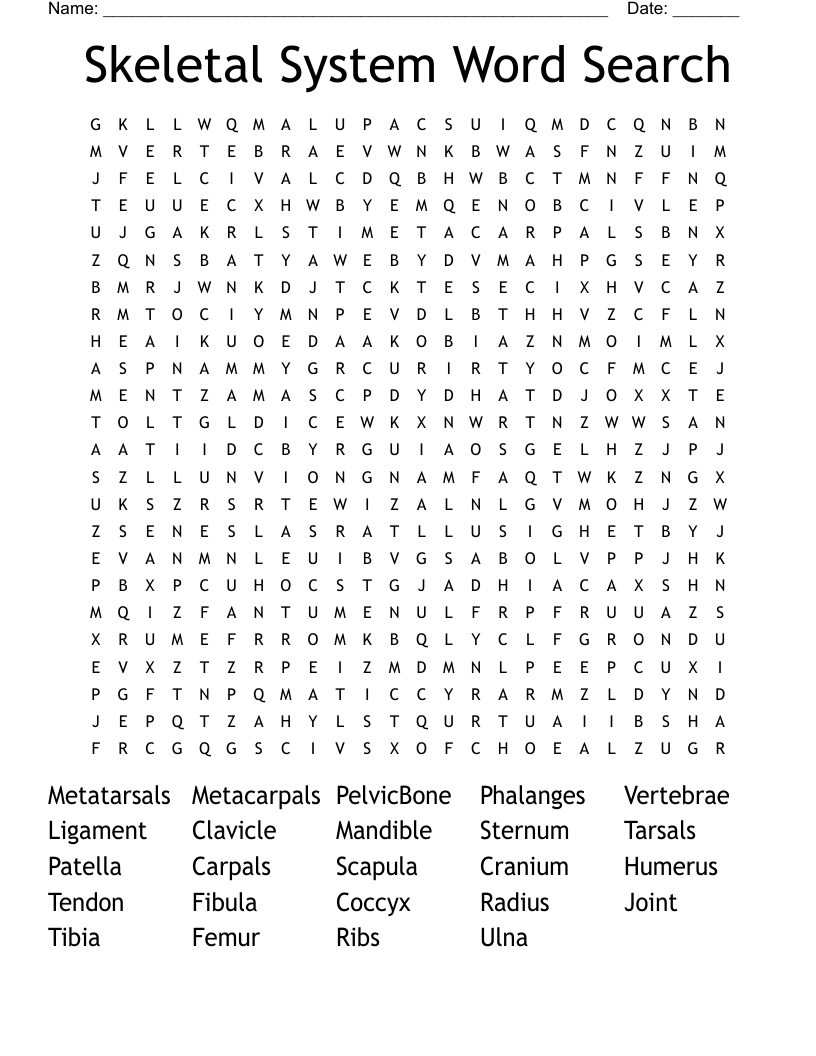Skeletal System Word Search