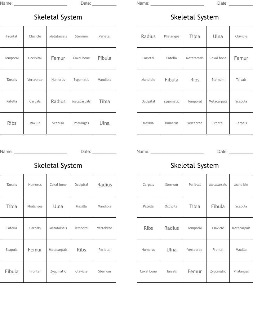 Skeletal System  Bingo Cards