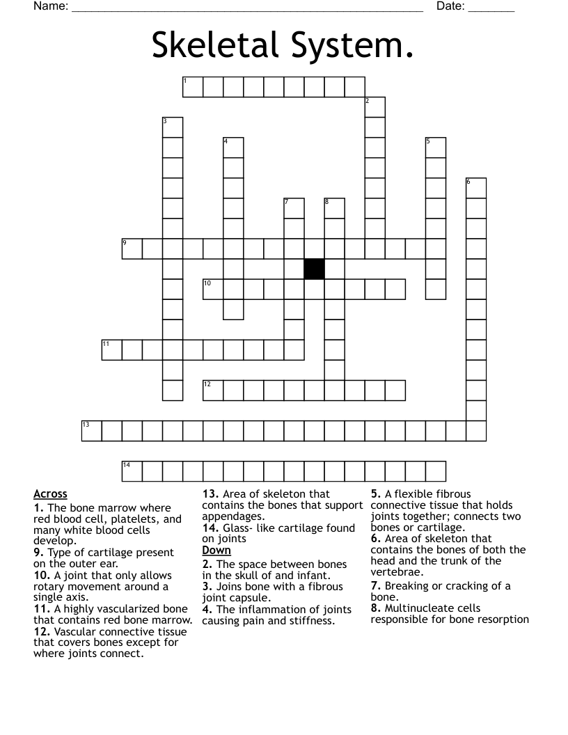 Skeletal System.  Crossword
