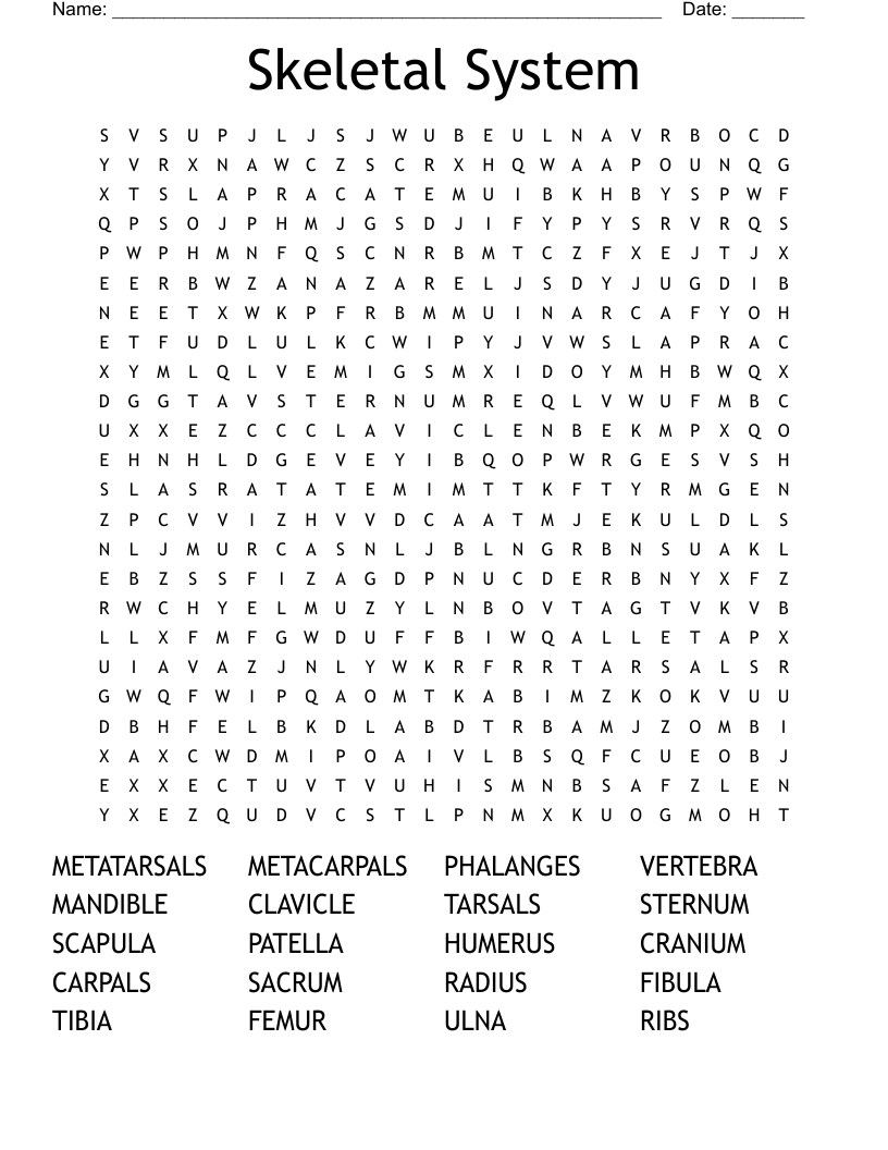 Skeletal System  Word Search