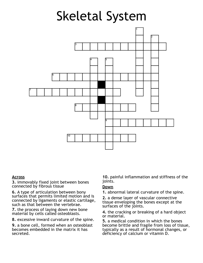 Skeletal System  Crossword