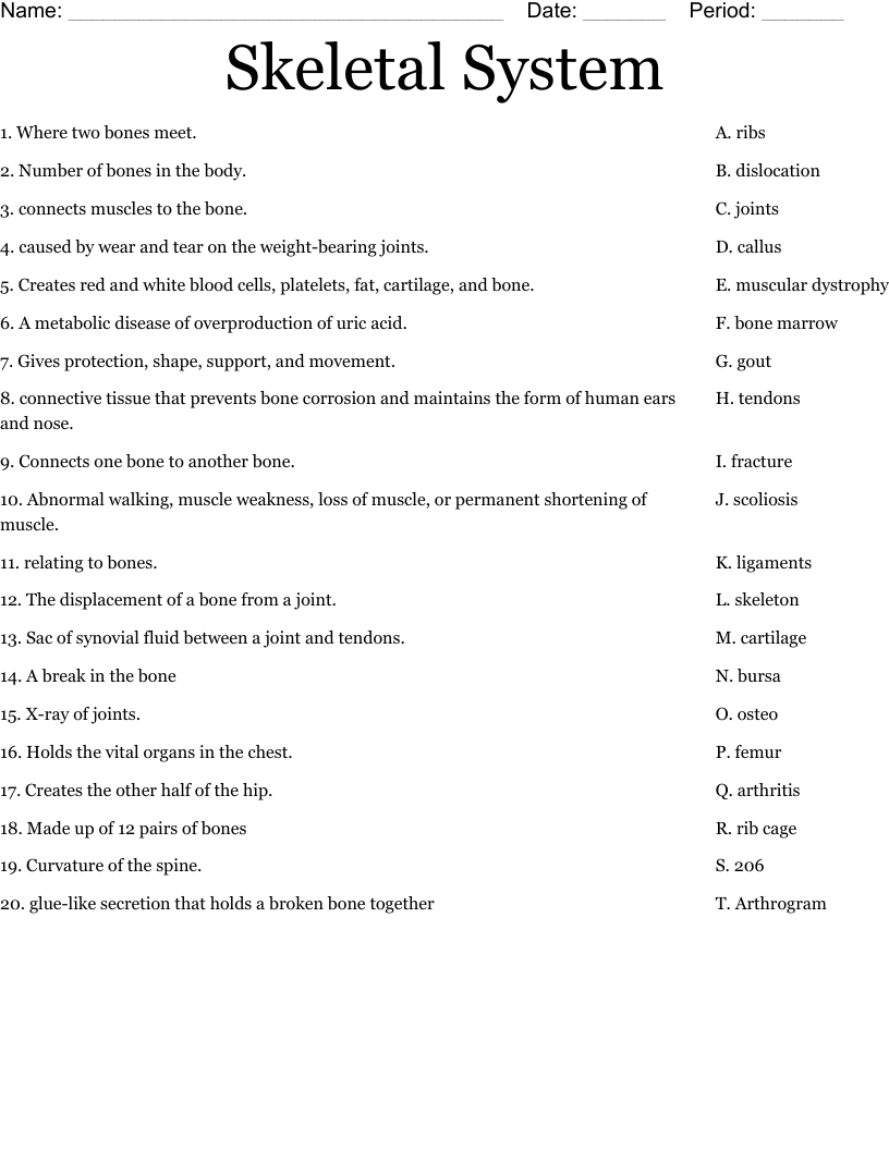 Skeletal System  Worksheet