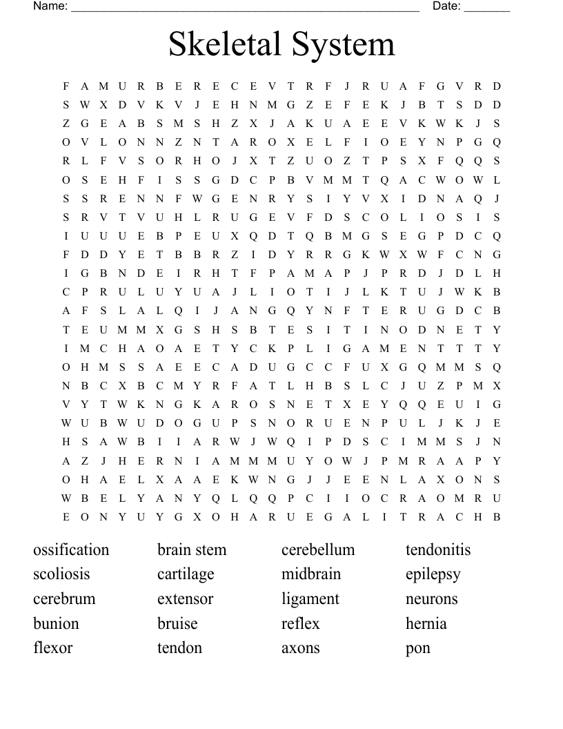 Skeletal System  Word Search