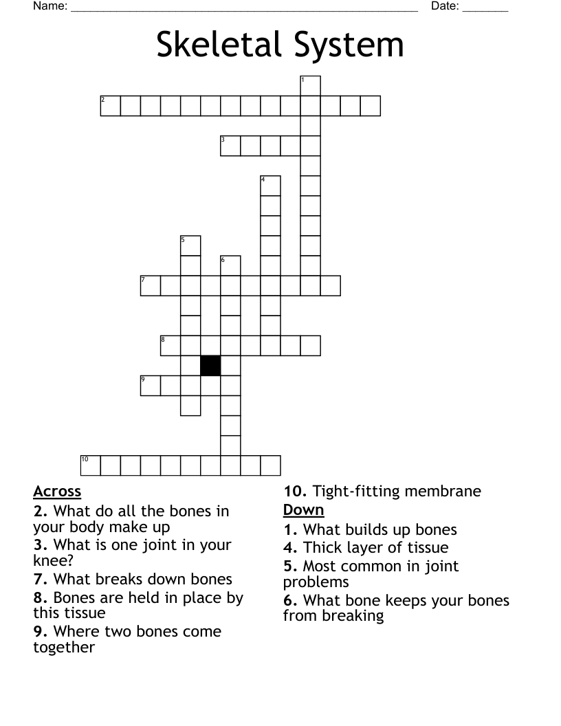 Skeletal System  Crossword