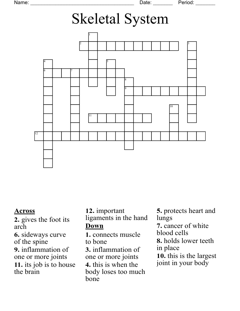 Skeletal System  Crossword