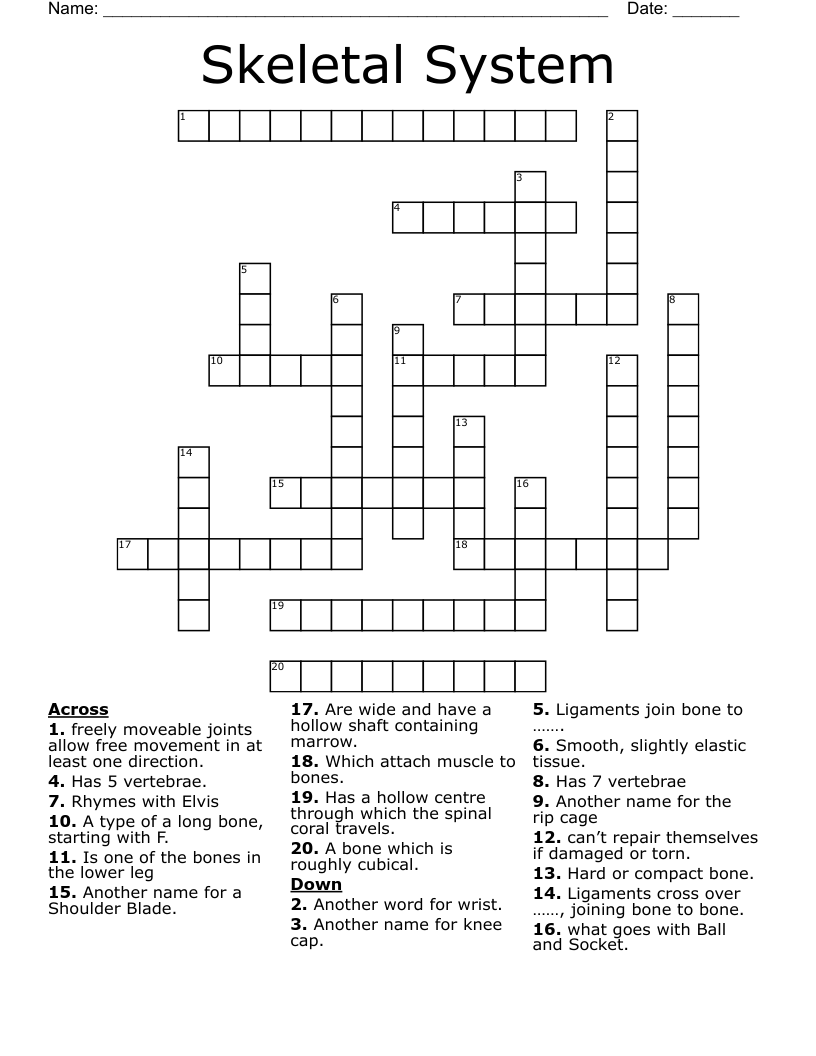 Skeletal System  Crossword