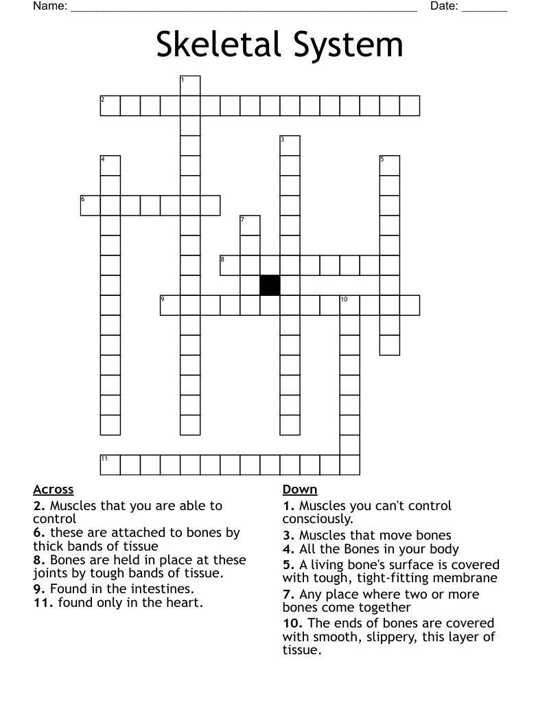 Skeletal System   Crossword