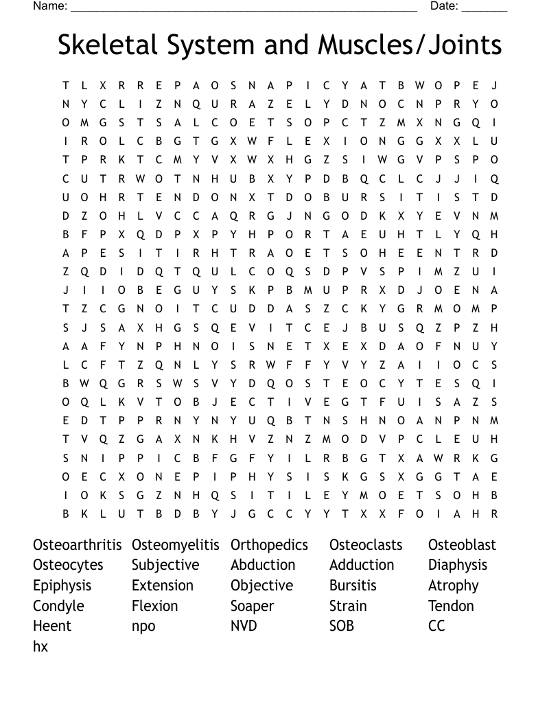 Skeletal System and Muscles/Joints Word Search