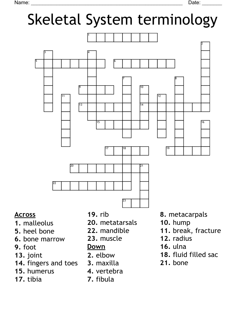 Skeletal System terminology  Crossword