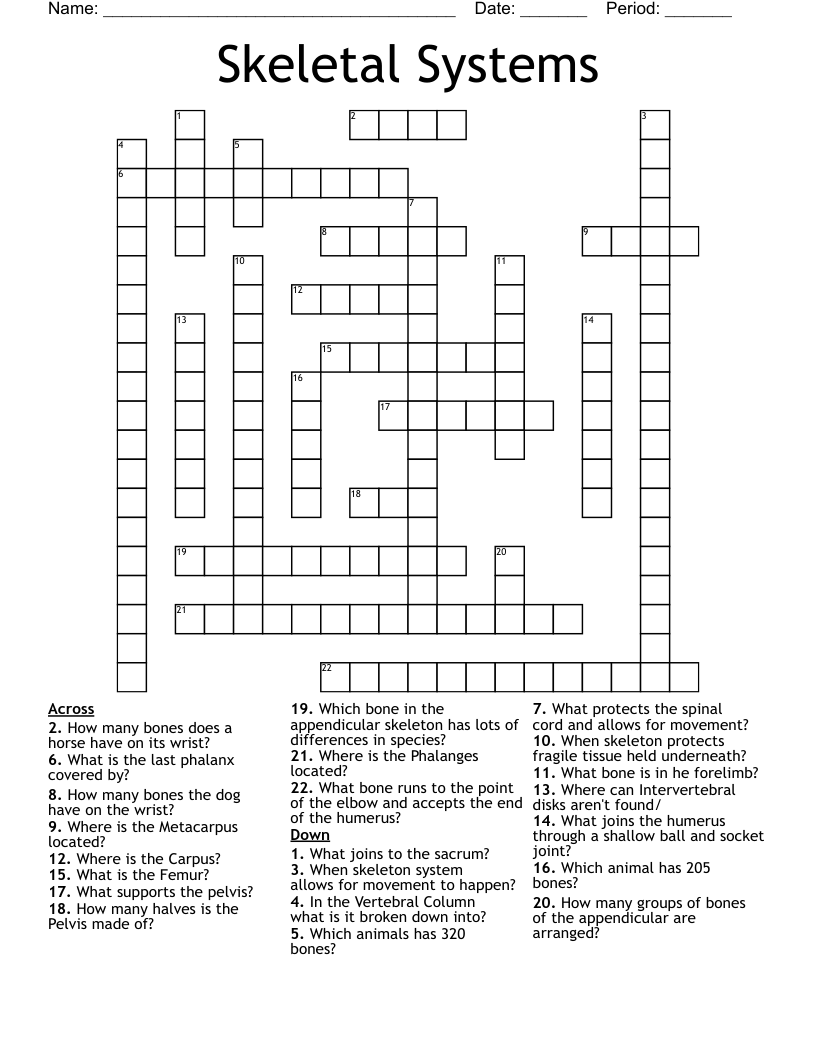 Skeletal Systems Crossword