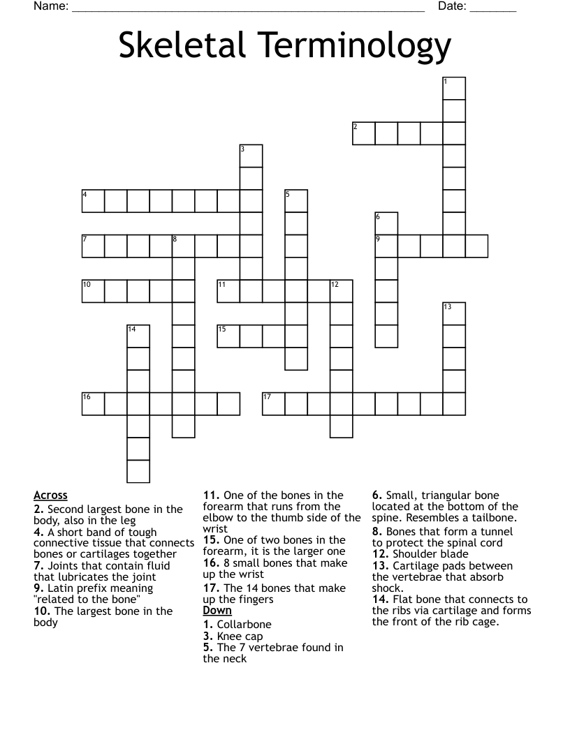 Skeletal Terminology Crossword