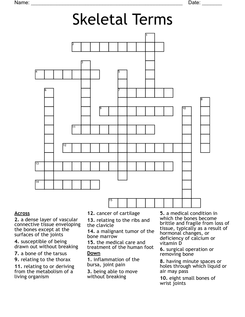 Skeletal Terms  Crossword