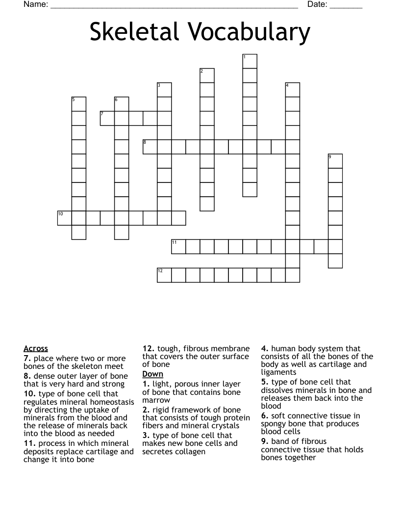 Skeletal Vocabulary Crossword
