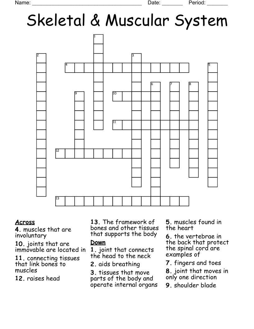 Skeletal & Muscular System Crossword
