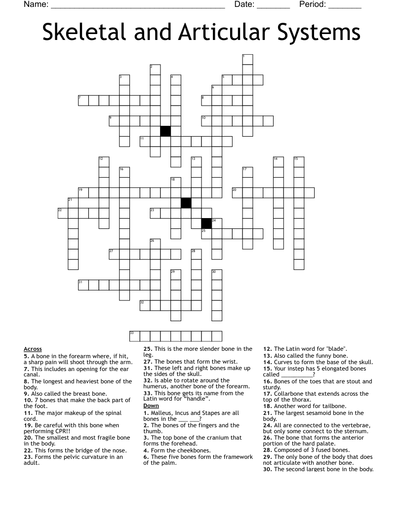 Skeletal and Articular Systems Crossword