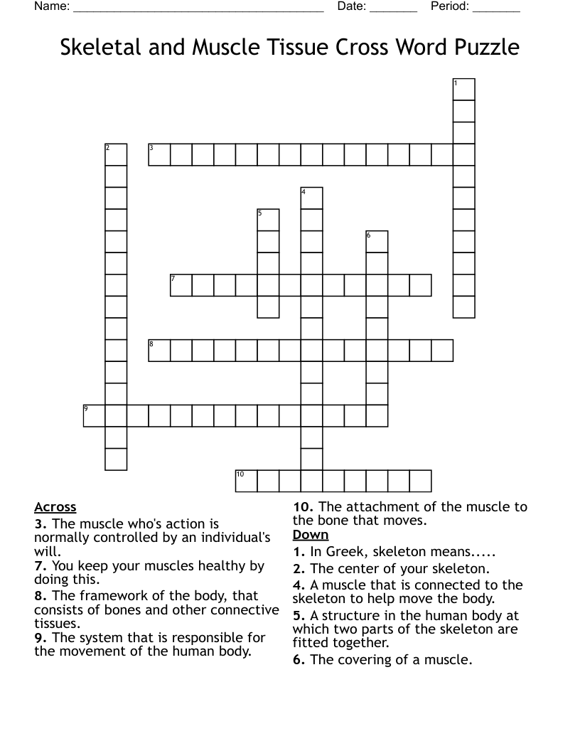 Skeletal and Muscle Tissue Cross Word Puzzle