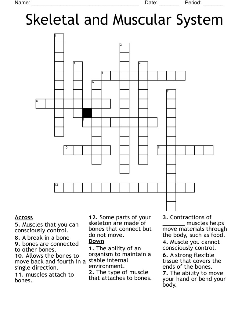 Skeletal and Muscular System Crossword