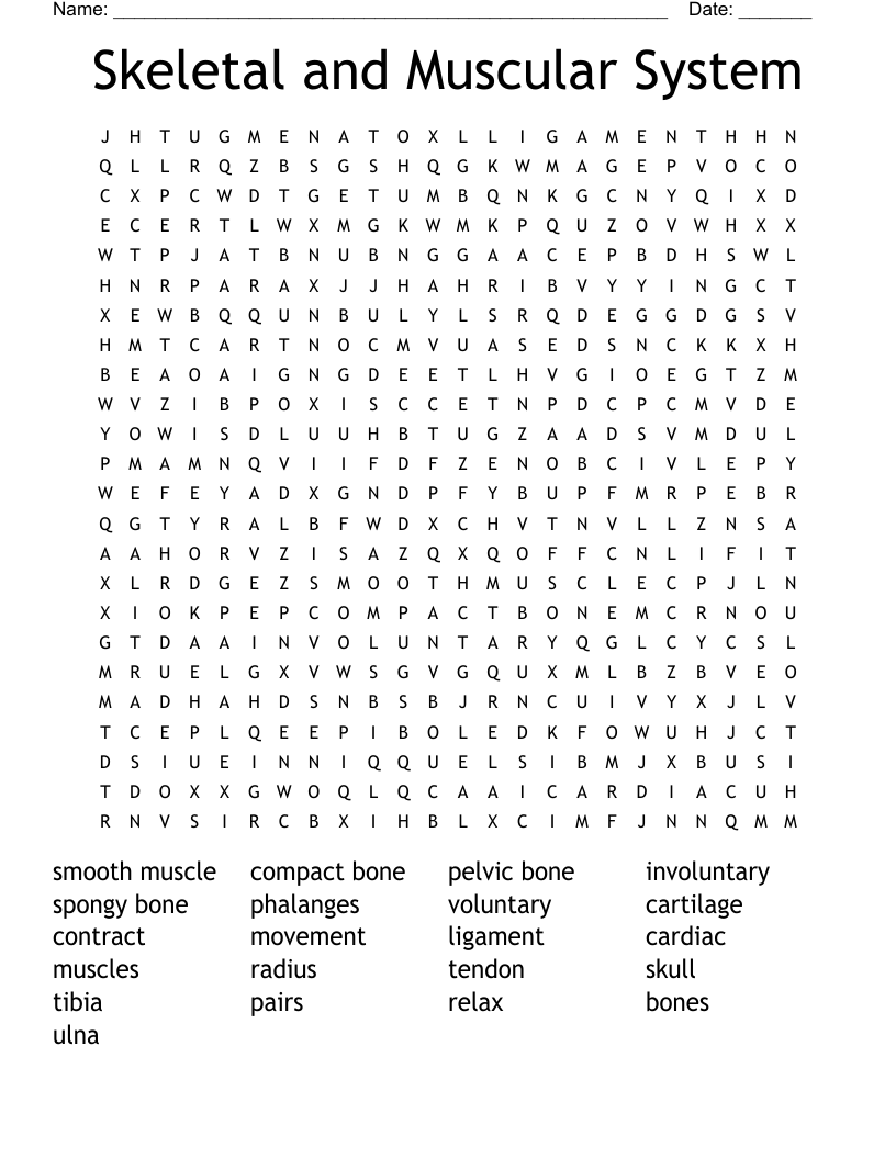 Skeletal and Muscular System Word Search