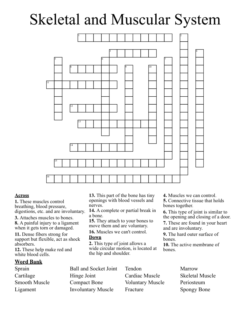 Skeletal and Muscular System Crossword