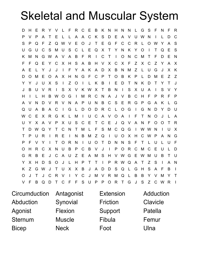 Skeletal and Muscular System Word Search