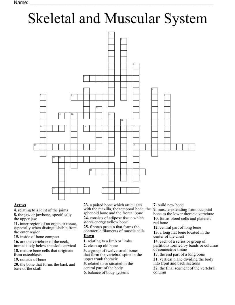 Skeletal and Muscular System Crossword