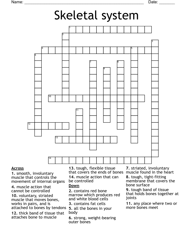 Skeletal system Crossword