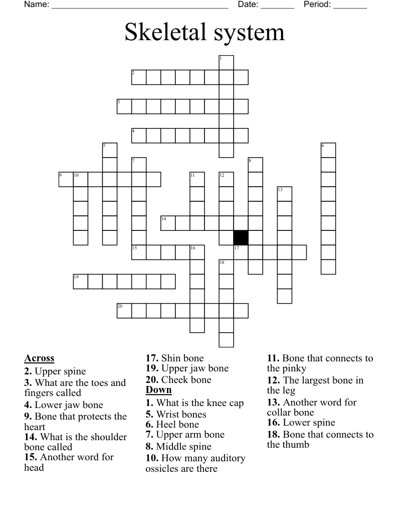 Skeletal system Crossword